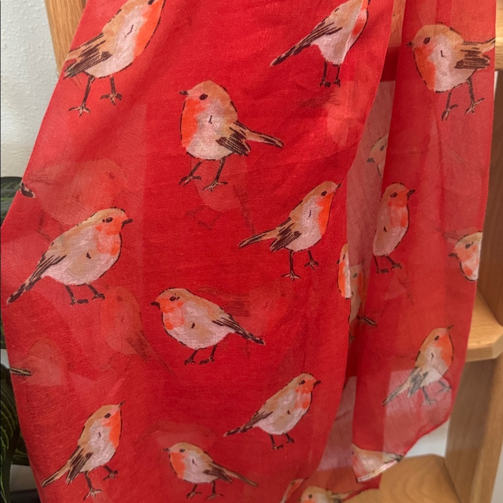NWOT Irelands Erin Knitwear in County Cork Watercolour Robin Scarf Red - Picture 4 of 6